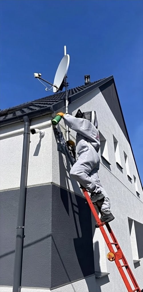 Usuwanie gniazda os spod dachu z drabiny — Tarnowo Podgórne, Przeźmierowo